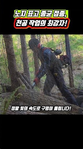 귀농·귀촌 필수 시청! 표고버섯 종균 작업 가장 쉽고 빠르게 하는 법 #표고버섯 #귀농 #산림경영