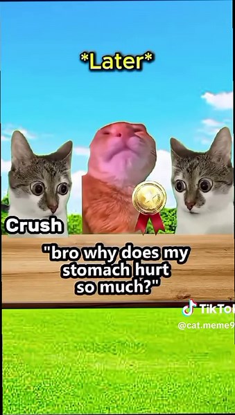 Cat Meme with Random Superpowers Compilation