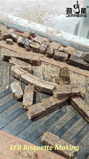 EFB Briquette Making