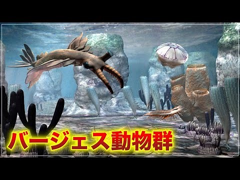 奇妙すぎる古生物【 バージェス動物群 】