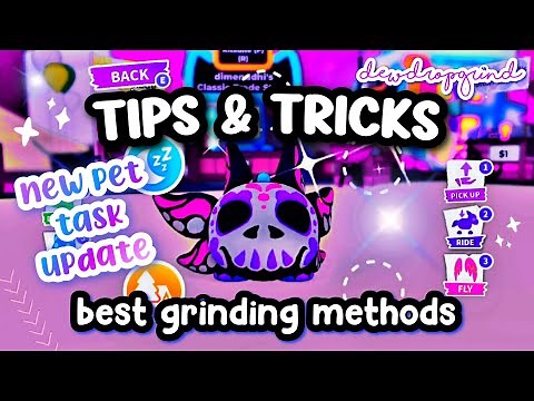 New Adopt Me Pet Task Update Tips and Tricks! #adoptme #pettaskupdate