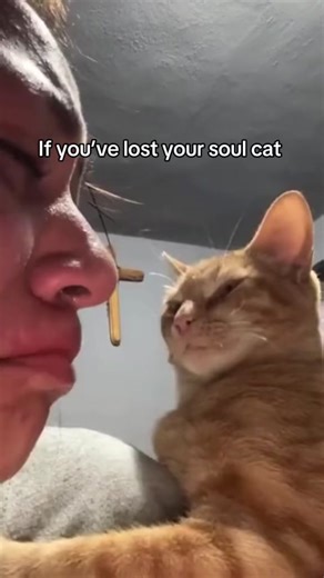 Pet Memorial Film Memento for Your Precious Furbaby