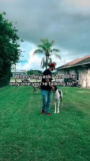 Jon Collins 21 (@joncollinsrealtiktok)’s videos with original sound - Jon Collins 21