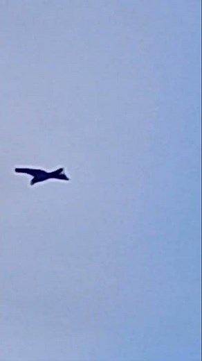 PNG Local music 🎶 🇵🇬🇵🇬🇵🇬