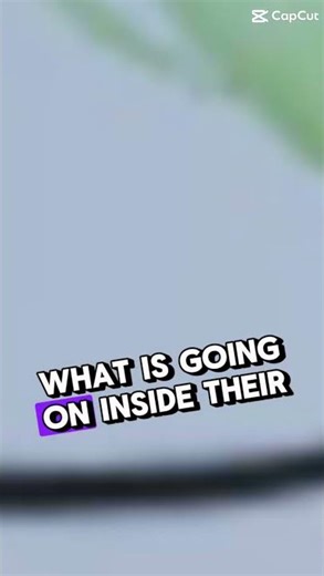 What is going on inside their head #roblox #moveit