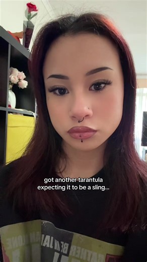 Adorable Tarantula Unboxing: The Cutest Sling!