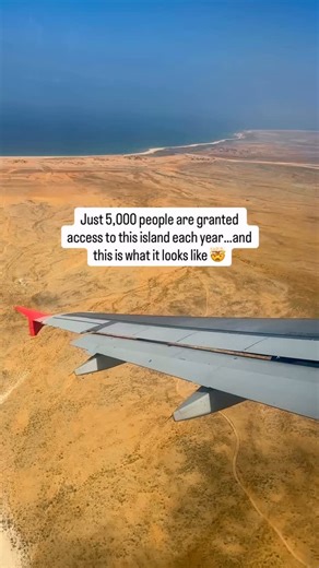 ✨ “Socotra isn’t a place you visit — it’s a planet you discover.” ✨...