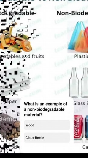 Biodegradable and Non-Biodegradable Materials