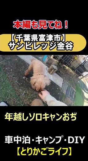 【キャンプ】 サンビレッジ金谷で年越しキャンプ #富津市 #房総 #千葉キャンプ #エブリィ #車中泊 #キャンプ飯 #キャンプ料理