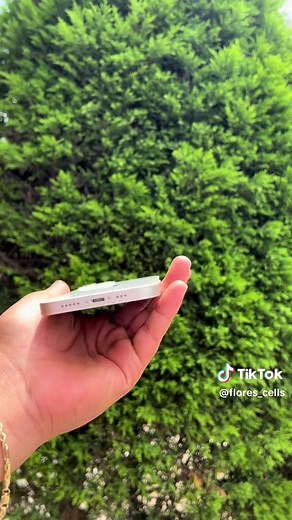 Cámaras de iPhone 13: Gran Angular y Retrato en Acción