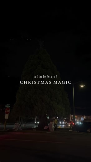 Christmas magic has officially touched Mukilteo! ✨ | City of Mukilteo - Community and Government