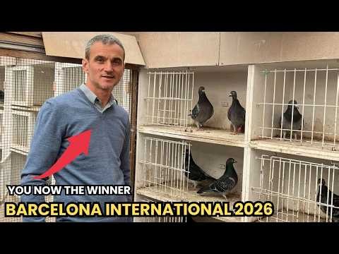 Barcelona International Racing Pigeon Race 2026 | Winner & Full Analysis