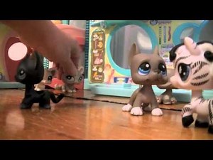 LPS Vampire School Season#2 Episode#1 (Genevieve)