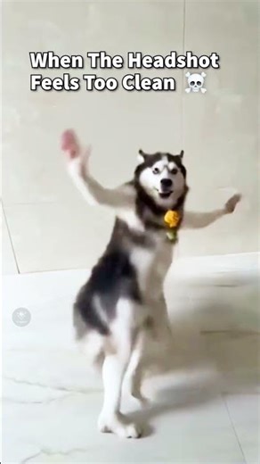 POV: Clean Headshot in CS2 🎯 | Satisfying Counter Strike 2 Shot #cs2 #shorts #gaming