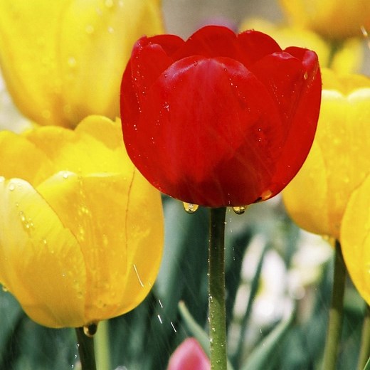 Writing Effective Emails - Mindtools