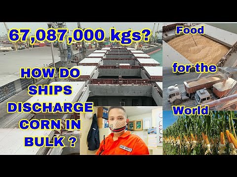 HOW DO CARGO SHIPS DISCHARGE CORN IN BULK | PRECAUTIONS | CHIEF Red SEAMAN VLOG EP.10