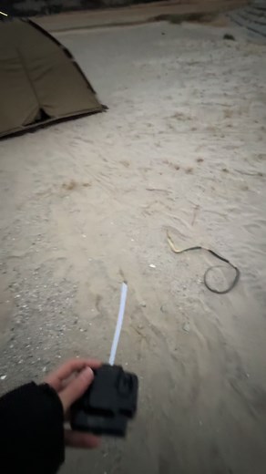 テントでのウミヘビサプライズドッキリ
