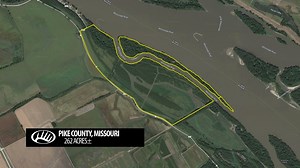Bucks AND ducks! If you are looking for an affordable and diverse waterfowl and deer hunting haven in an excellent area than look no further! This is a really cool WRP tract located right on the banks of the Mississippi River. It is teeming with deer, turkeys, and waterfowl. The property is smack dab in the heart of the Mississippi flyway, and only a few miles north of Clarence Cannon National Wildlife Refuge. The whitetail hunting is a slam dunk due to most of the farm being thick security cove