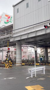 Rainy Tokyo Japan 🇯🇵 I am back after 40 days ‼️ | JP in Japan