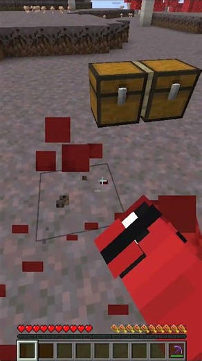 the secret use of chest in minecraft #minecraft