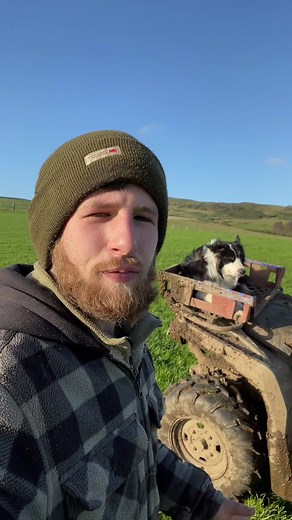 Debunking the Sheep Dancing Video: Unraveling the Truth Behind the Viral Clip