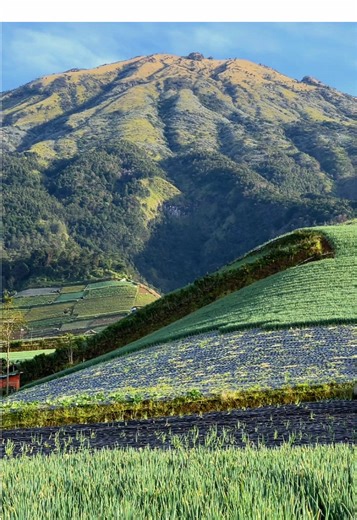 Wisata Menarik di Magelang dan Sumbing