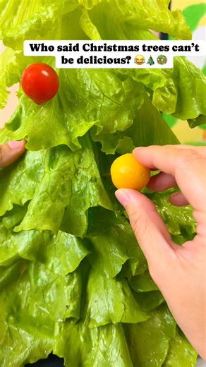 A Christmas tree you can EAT! 🎄🥗 Made from salad leaves and carrots—fun, healthy, and super cute for your holiday table! #ChristmasFood #HolidayRecipes #ChristmasDIY #FestiveIdeas #FoodArt #CreativeCooking #ChristmasTable #HealthyChristmas #ChristmasSnacks #HolidayPartyIdeas | Molly Gunay
