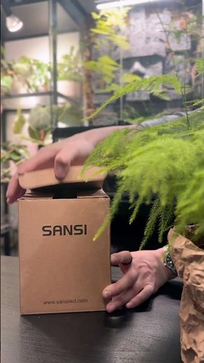 📦 Unboxing Sansi Grow Light for a Super Low Light Plant Corner 🪴