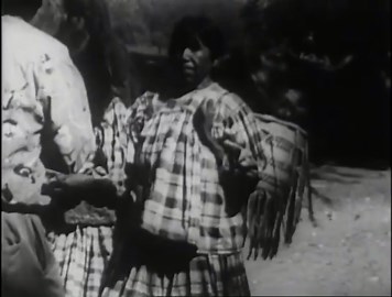 Native American Pow Wow: Flagstaff, Arizona - July 4th Celebration