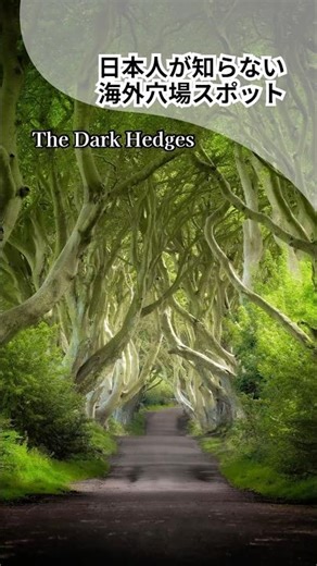 Like a Fantasy! The Mystic Tunnel of Game of Thrones Kingsroad | The Dark Hedges, Northern Ireland