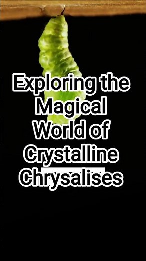Exploring the MAGICAL World of Crystalline Chrysalises