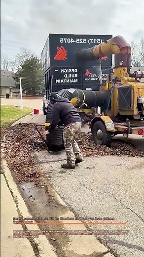 Saugen, sammeln, säubern: Wie der Blasesturm die Straße von ihrem goldenen Teppich befreit