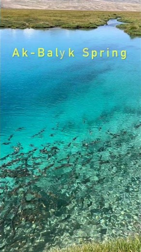 파미르고원여행_파미르 하이웨이(pamir highway_Ak balyk spring) #pamirmountains