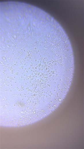 Understanding Men's Fertility: Key Insights and Tips