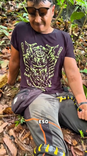 How to tell if the snake that bit you is venomous?