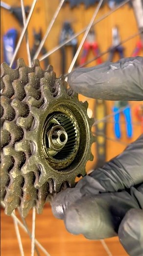 Maillard Helicomatic freewheel