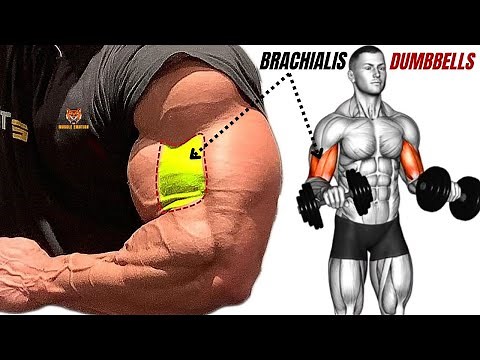 13 best brachialis exercises with dumbbells only at home or at gym