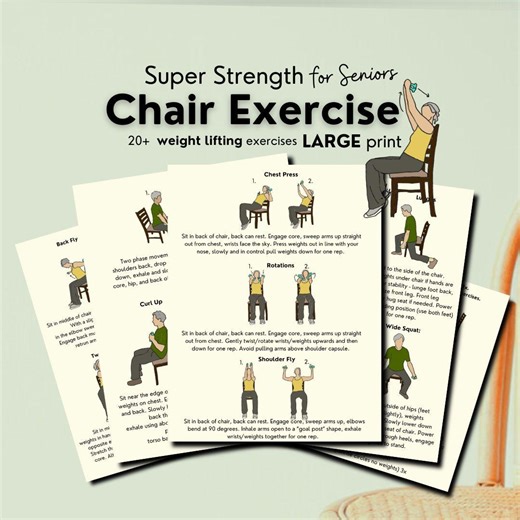 Chair Exercise for Seniors, Weight Lifting for Women Over 50, Resistance Training,full Body Workout,at Home Weight Training, Seniors Over 65 - Etsy
