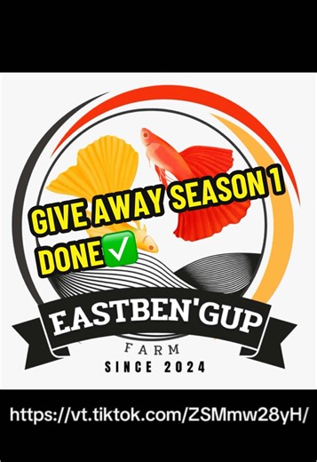 Congratulations untuk Pemenang Give Away Season 1🔥 @lfranca082615 @innadacosta19 @andragfp1pz #timorleste🇹🇱 #timorleste🇹🇱❤foryoupage🇹🇱🐊 #timorleste🇹🇱❤foryoupage #guppy #guppy #dili #fyp #garamdanmadu #hobby