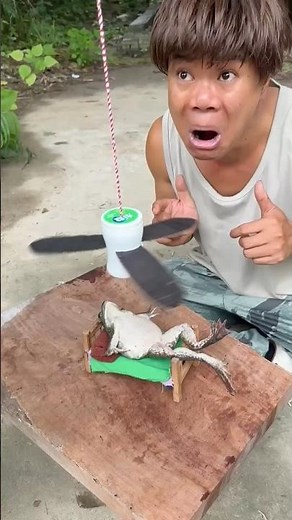 Cute Mini Wood Craft with Frog 🐸 | Amazing Handmade Toy #shorts