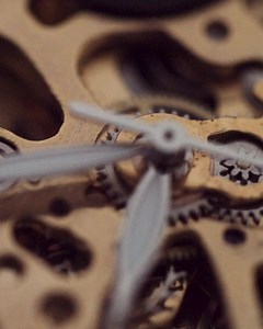 2.2K views · 10K reactions | Future Authoring has been used by over 10,000 people and has shown to help them achieve more while alleviating anxiety about the future through a feeling of clarity, purpose, and direction | Dr Jordan B Peterson | Facebook