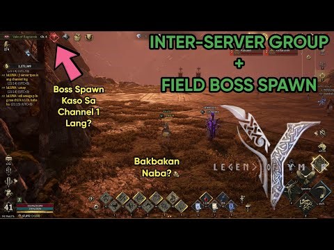 Legend of YMIR: Panibagong Adventure! November 11 Update (Inter-Server + Field Boss) REVIEW!