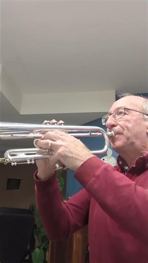 YTR-9335 NYS BR-III vs Flip Oakes Wildthing (sound test 2)