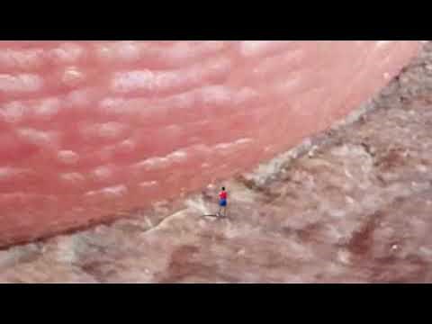 Microscopic man meet giantess toe