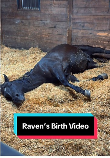 Raven’s Birth Video: A Journey of Strength and Love