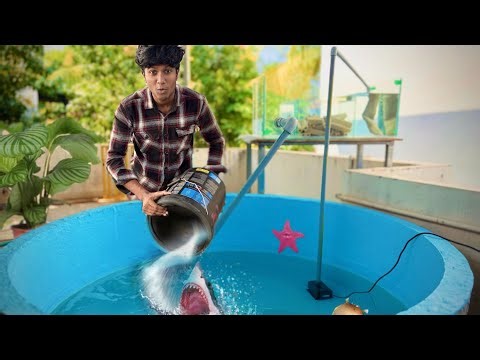 Our Zoo’s First Salt Monster Ocean 🌊😳/JENISH KJ