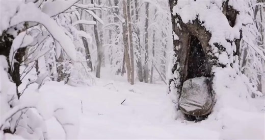 I adapted to nature by using the natural shelter of a large tree that had gradually become hollow over time. This experience was not only about survival but also about respecting nature and finding ways to preserve it. #2025 #camping #travel #survival #bushcraft #buiding | STP Kun Khmer News