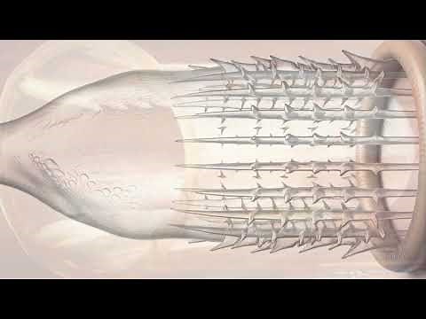 Rapex: Innovating for Defense Against Sexual Assault