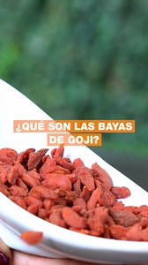 BAYAS DE GOJI: 9 PREGUNTAS SOBRE ESTE PEQUEÑO FRUTO ROJO Y SU APORTE NUTRICIONAL ¿Sirven para bajar de peso? ¿Qué son? ¿Cómo comerlas? Todo lo que hay que saber | Por Romina Pereiro https://infob.ae/3jE15gW | Infobae