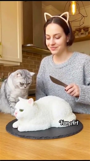 Cats vs funny cake fake 😂 #shortvideo #funny